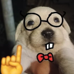 Kamury